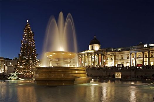 圣诞树,喷泉,光亮,特拉法尔加广场,圣诞节