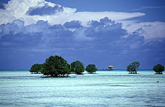 巴布亚新几内亚,树,浅,水,海岸,小屋,远景