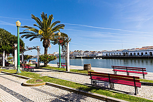 红色,长椅,棕榈树,盛开,河边,公园,河,老城,背景,塔维拉,阿尔加维,葡萄牙