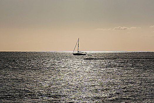 帆船,日落,岸边,拉海纳,毛伊岛,夏威夷