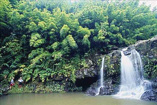 夏威夷,毛伊岛,远足者,显现,竹林,风景,瀑布,自然,水池