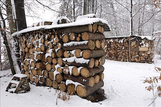 绳,木柴,一堆,树林,冬天,瑞士,欧洲