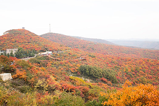 靳家岭秋色