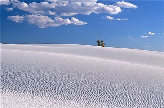 白色,沙丘,白沙,国家纪念建筑,奇瓦瓦沙漠,新墨西哥,美国