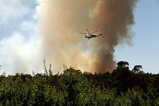消防,直升飞机,动作,西南方,澳大利亚