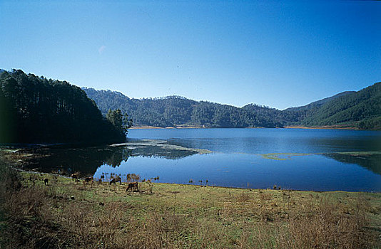 云南省大理州云龙县高山湖泊天池