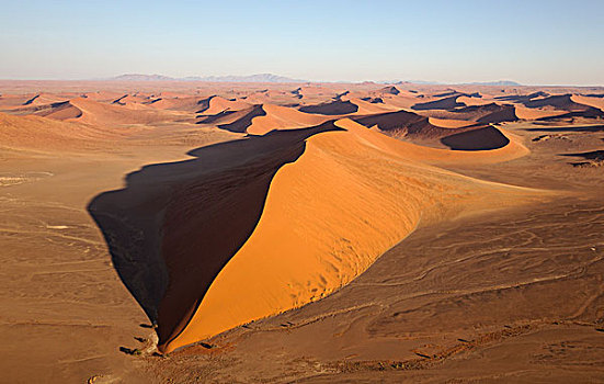 沙丘,纳米布沙漠,骆驼,刺,树,刺槐,晚上,航拍,纳米比诺克陆夫国家公园,纳米比亚,非洲
