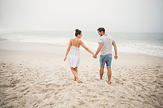 后视图,情侣,握手,走,海滩,晴天
