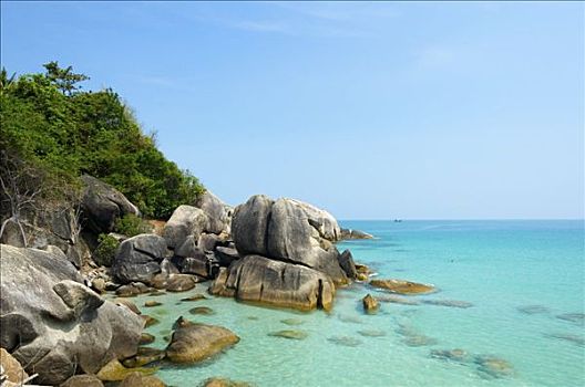 珊瑚,小湾,苏梅岛,泰国