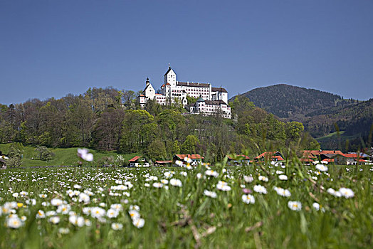 城堡,齐姆高,巴伐利亚,德国南部,德国