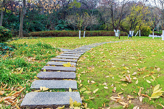 秋天公园里绿草地石板小径,南京雨花台景区