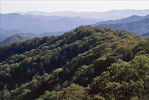 大烟山,田纳西,美国