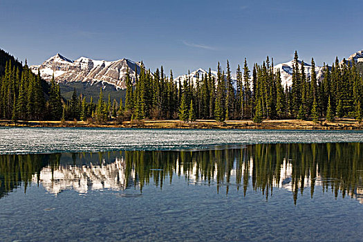 雪山,山脉,反射,高山湖,蓝天,艾伯塔省,加拿大