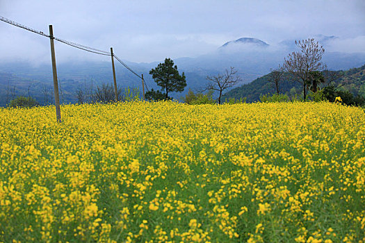 梯田,山村,春意