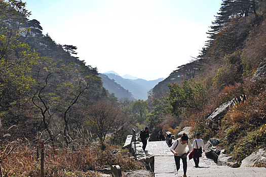 泰山景观