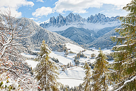 冬季风景,山谷,树林,雪冠,山