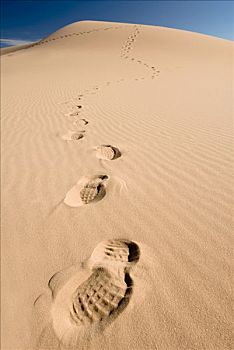 沙丘,脚印,州立公园,犹他,美国