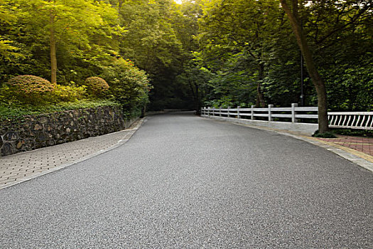 森林公路