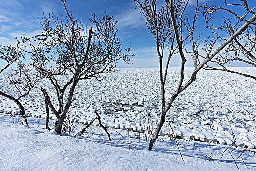 浮冰,北海道,日本