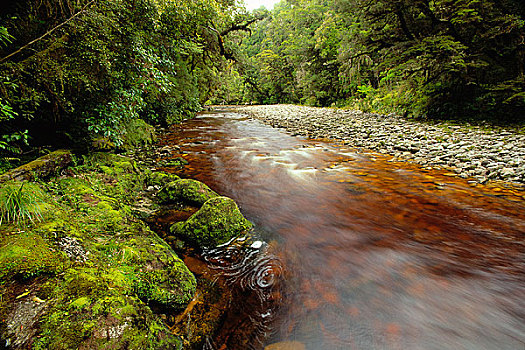 卡胡朗吉国家公园,南岛,新西兰