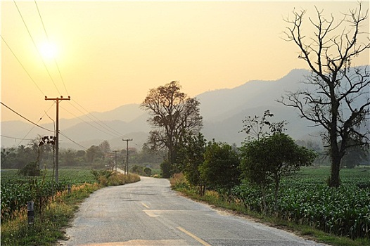 道路,泰国