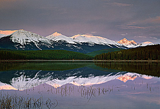 湖,山脉,碧玉国家公园,艾伯塔省,加拿大
