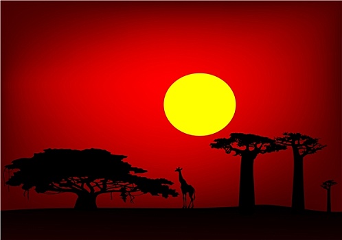 非洲,日落
