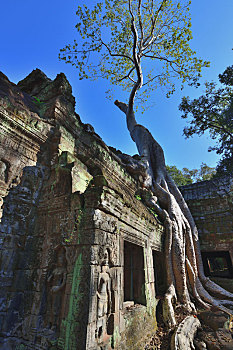 柬埔寨吴哥古城塔普伦寺神庙