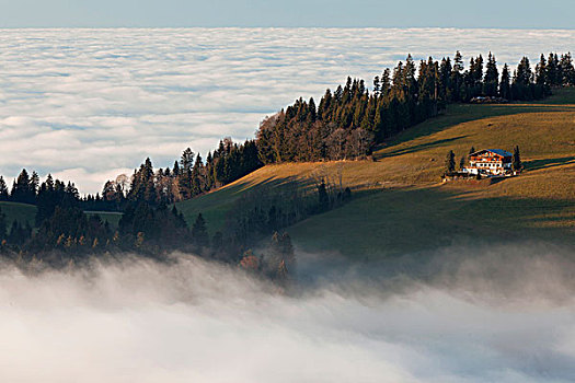 山,阿尔卑斯小屋,小教堂,靠近,高,雾,奥地利,欧洲