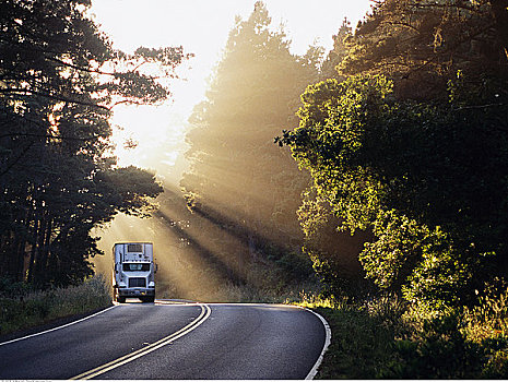 运输,卡车,途中,树林,加利福尼亚,美国