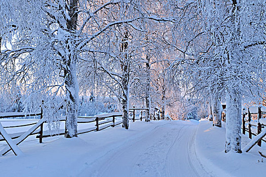 积雪,道路,库萨莫,北方,芬兰