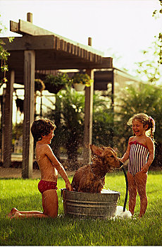 男孩,女孩,泳衣,浴,狗,户外
