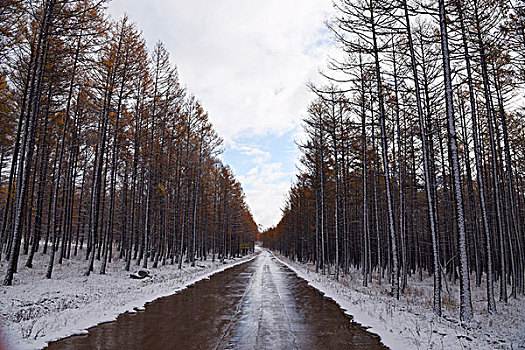 阿尔山雪景