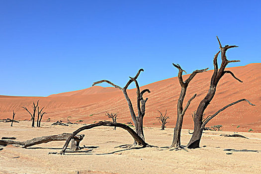 纳米比沙漠,死亡谷,索苏维来地区,纳米比亚
