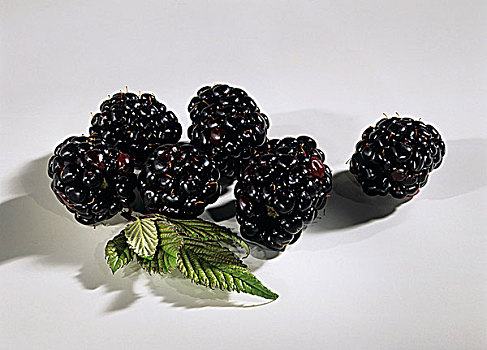 黑莓,叶子