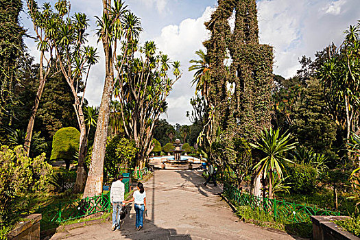 公园,大学,亚的斯亚贝巴,埃塞俄比亚