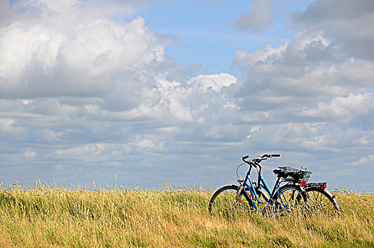 两个,自行车,盐,湿地,汉堡包,北方,石荷州,德国,欧洲