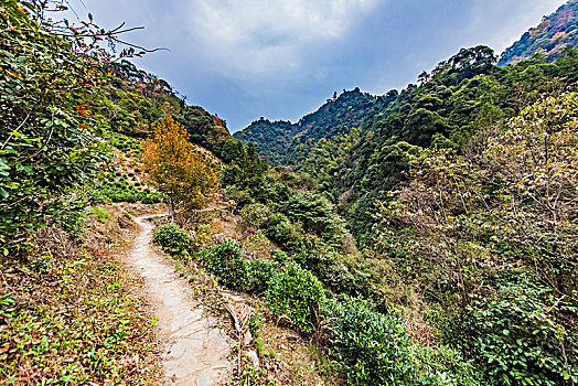 江西省婺源县山区原始森林自然环境景观