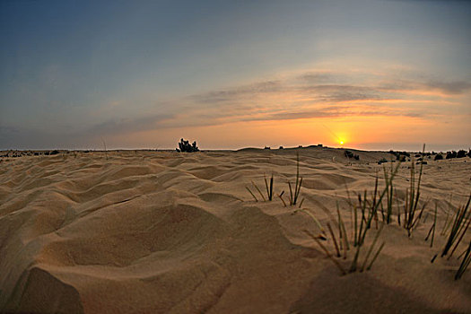 日落,蓝天,云,上方,沙丘,撒哈拉沙漠