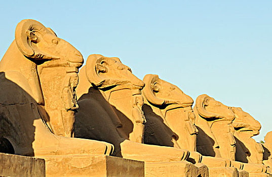 道路,狮身人面像,地区,卡尔纳克神庙,庙宇,复杂,靠近,路克索神庙,埃及,北非