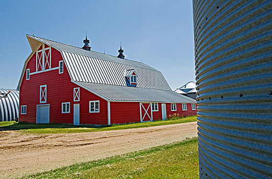 农场,靠近,托奇,萨斯喀彻温,加拿大