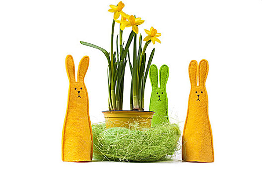 黄色,水仙,容器,三个,兔子