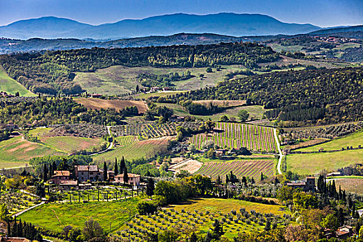 俯视,农田,葡萄园,圣吉米尼亚诺,锡耶纳省,托斯卡纳,意大利