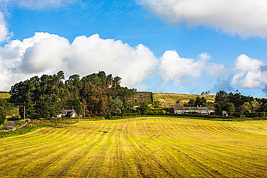 英格兰北部田园风光