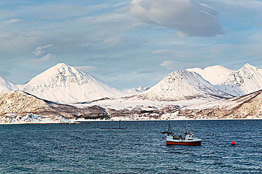 渔船,积雪,山,峡湾,纯,北极,冬季风景,挪威