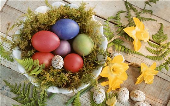 复活节彩蛋,器具,苔藓,春花