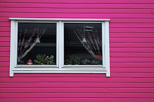 粉色,木墙,白色,窗户,帘,花,乡村