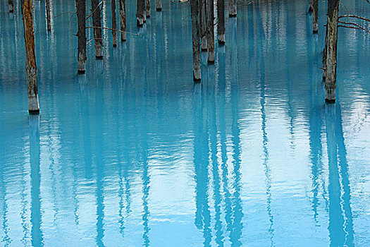 蓝色,水塘,冬天