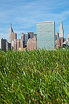 草,土地,曼哈顿,天际线,背景,纽约,美国