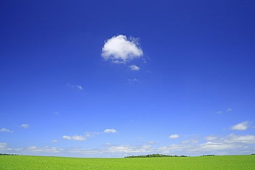 青豆,地点,山,漂浮,云